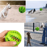 Balle Dentaire DentaPlay pour Chiens